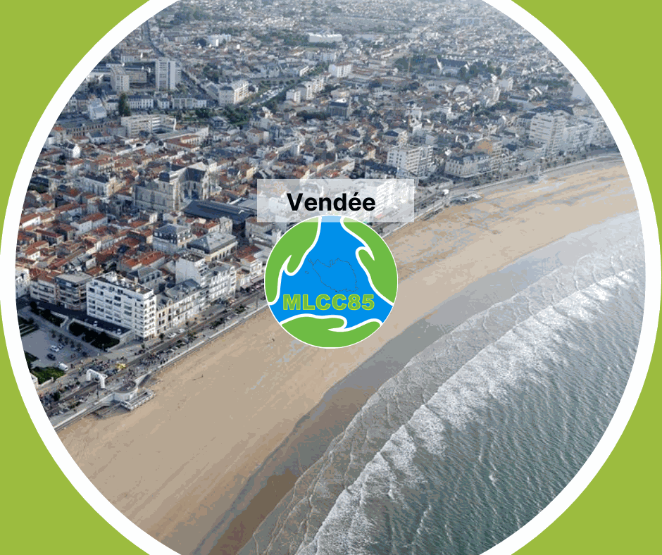 Odoo- Echantillon n° 3 pour trois colonnes