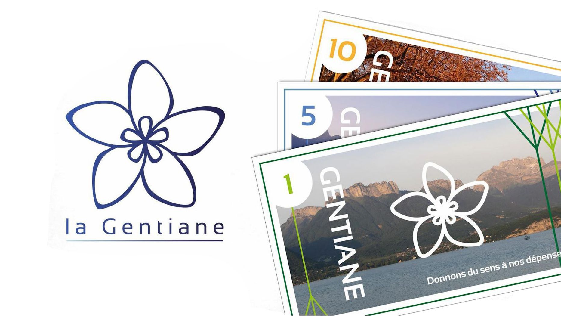 Odoo • Image et Texte